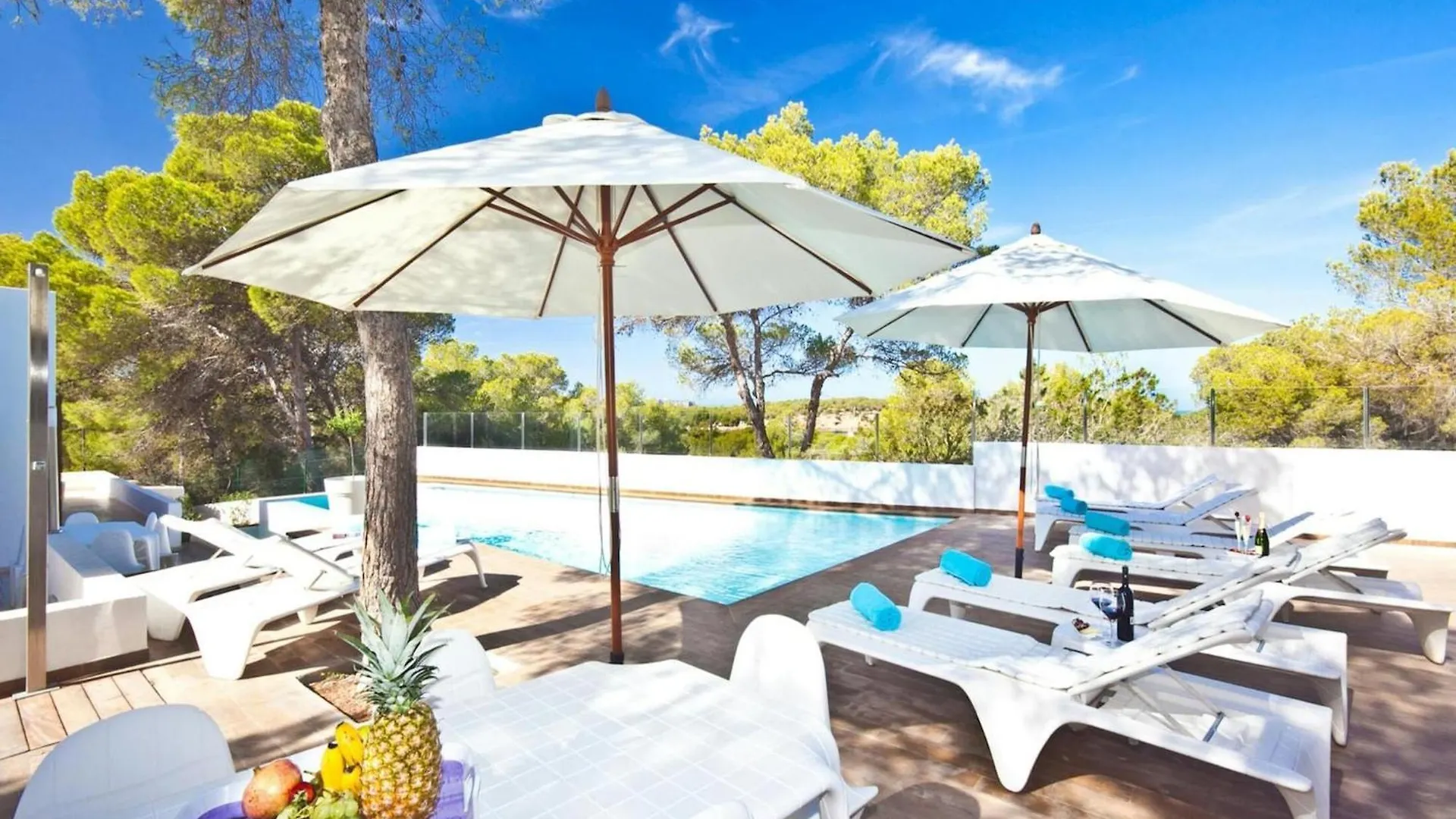 Holiday home Beachfront Villa With Saltwater Pool Sant Josep de sa Talaia